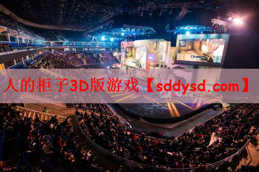 人的柜子3D版游戏